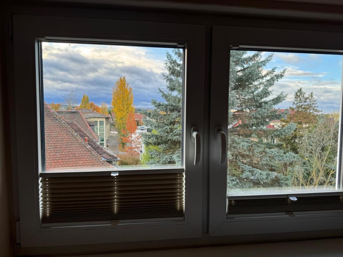 205 Qm "Traumtor" Mit Sauna, Whirlpool, Kamin Und 3 Terrassen Mit Blick In Die Boehmisch Saechsische Schweiz Dresden Eksteriør billede